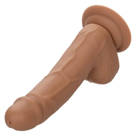 CALIFORNIA EXOTICS - CLOUS EN SILICONE 15.24 CM MARRON 18046