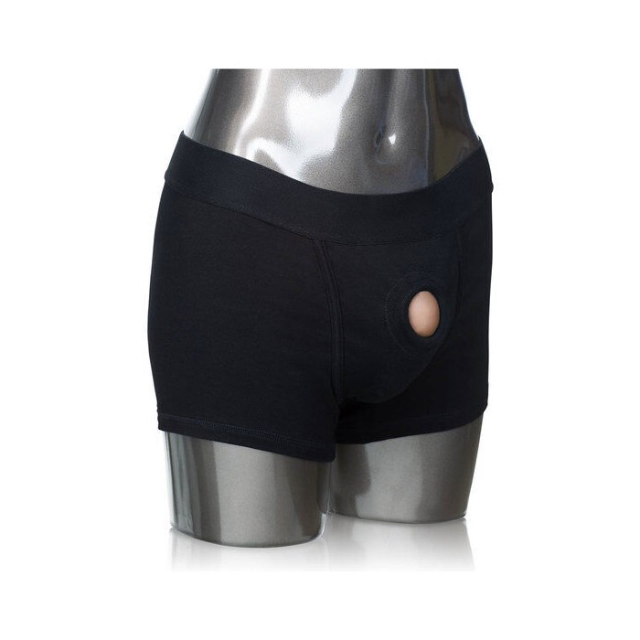 CALEXOTICS - PACKER GEAR BOXER HARNAIS M/L